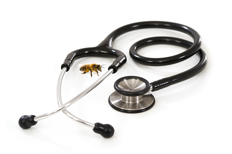 Stethoscope on white background